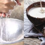 Cara Menggunakan Santan Instan Agar Rasanya Seperti Santan Segar Rahasia Dapur Praktis Yang Menggugah Selera