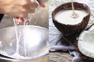 Cara Menggunakan Santan Instan Agar Rasanya Seperti Santan Segar Rahasia Dapur Praktis Yang Menggugah Selera